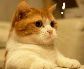 家长|去过同一泳池的91个小朋友“出事”了！高烧不退还有人晕倒