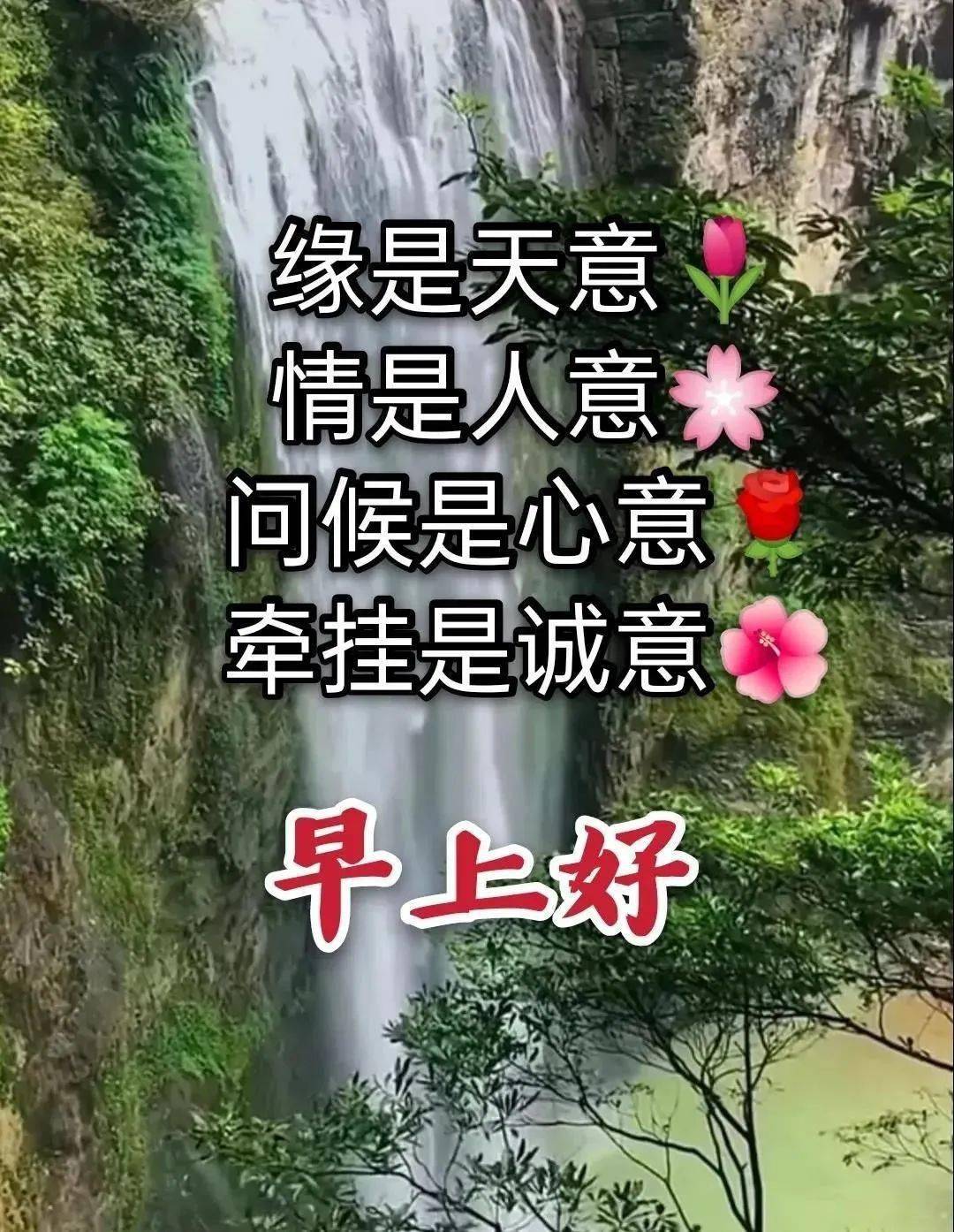 早上好表情包愿您的心情像花一样美丽开心快乐每一天