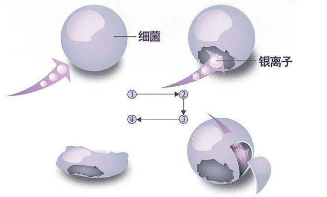 菜板|德国用不锈钢造「变态」菜板，颠覆传统设计，99%抗菌，一板两用只要69元~
