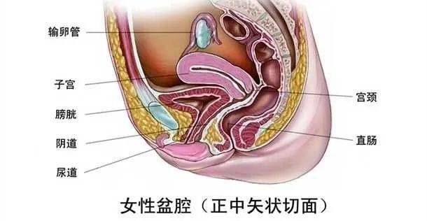 经常尿道感染怎么办