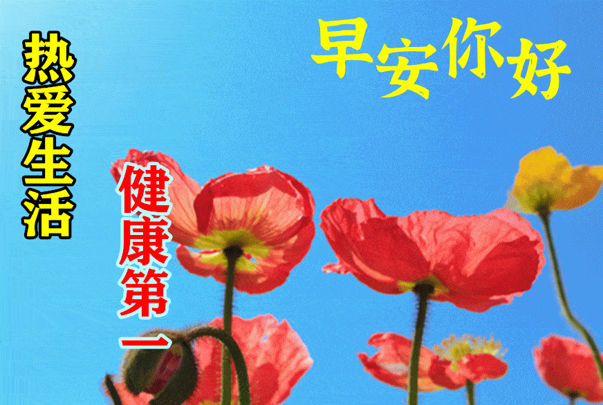 8月16日最漂亮早上好动态表情图片大全,早晨好动图美图大全_问候