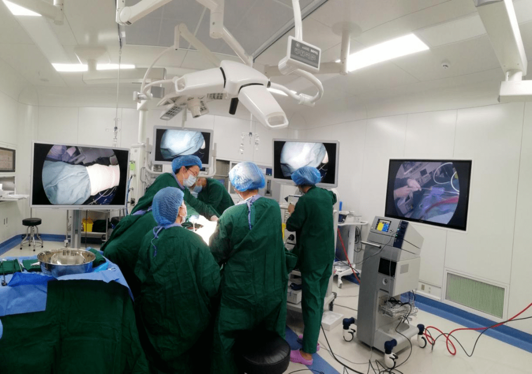 虽系良性病变,但严重影响老年女性的生活质量,腹腔镜辅助下经阴道手术