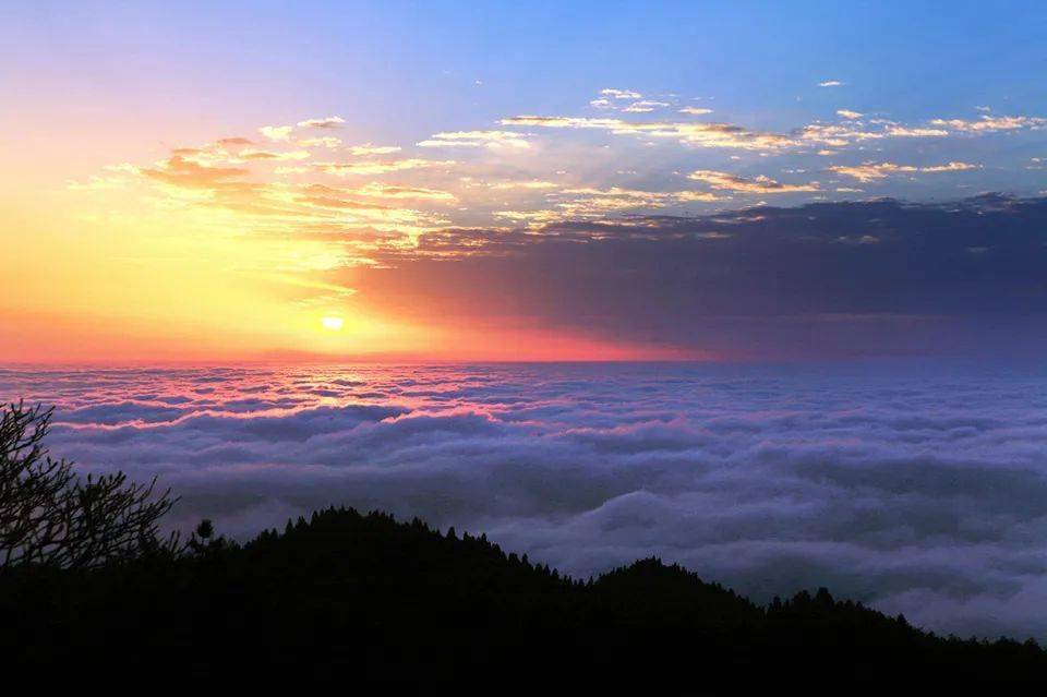 云雾里的明月山也太美了吧!