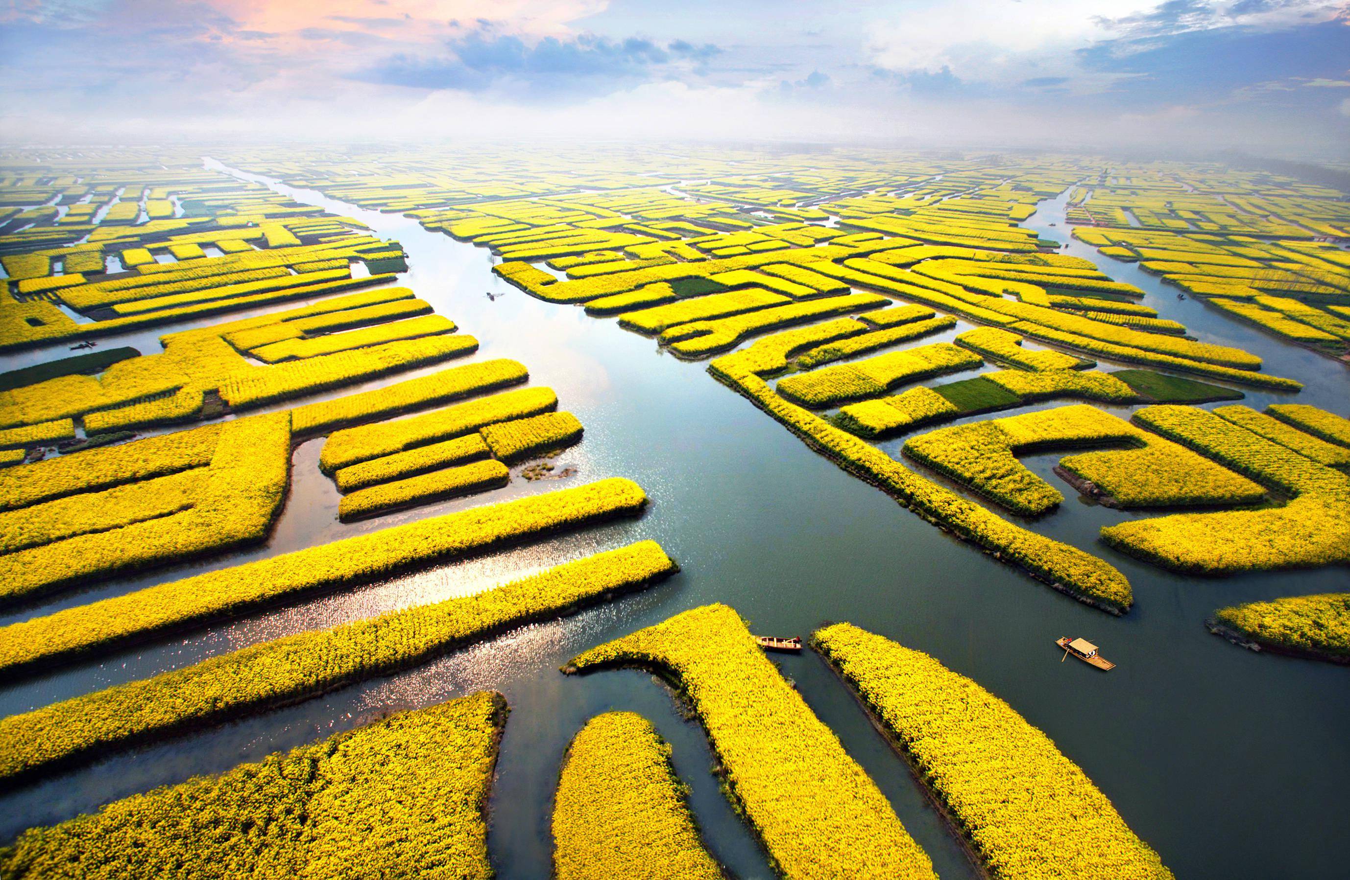 花开垛田邀您共赴!《垛上花》8月27日全国上映_兴化市