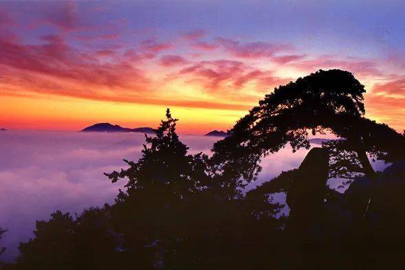 云雾里的明月山也太美了吧!