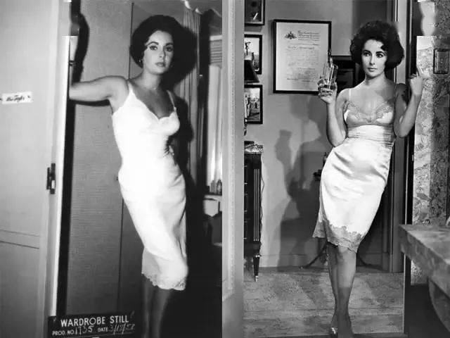 伊丽莎白·泰勒|乔晶晶于途的高甜戏,全被它抢镜了!