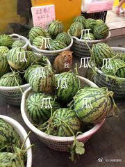 糖尿病人|糖尿病患者怎么吃最科学