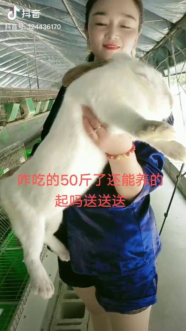 投资小回本快的养殖业赚钱吗(投资小回本快的养殖业赚钱吗现在)
