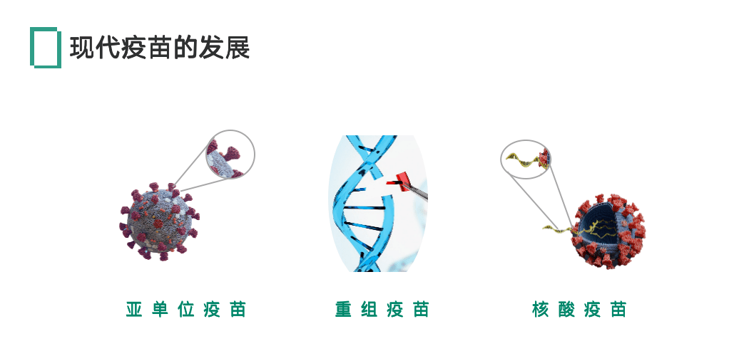 重组疫苗图解图片