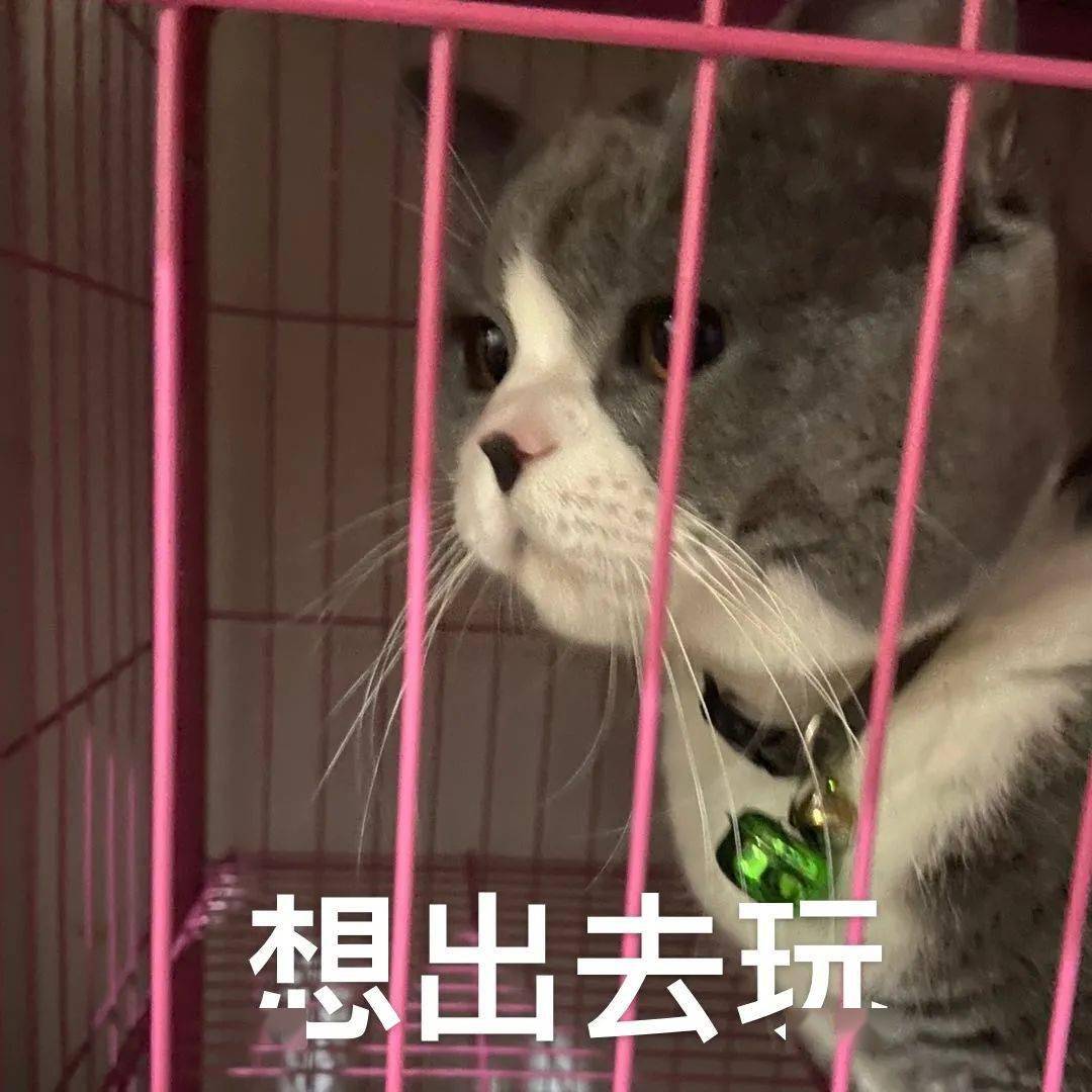 那是我们的小伙伴简谱_父亲简谱那是我小时候