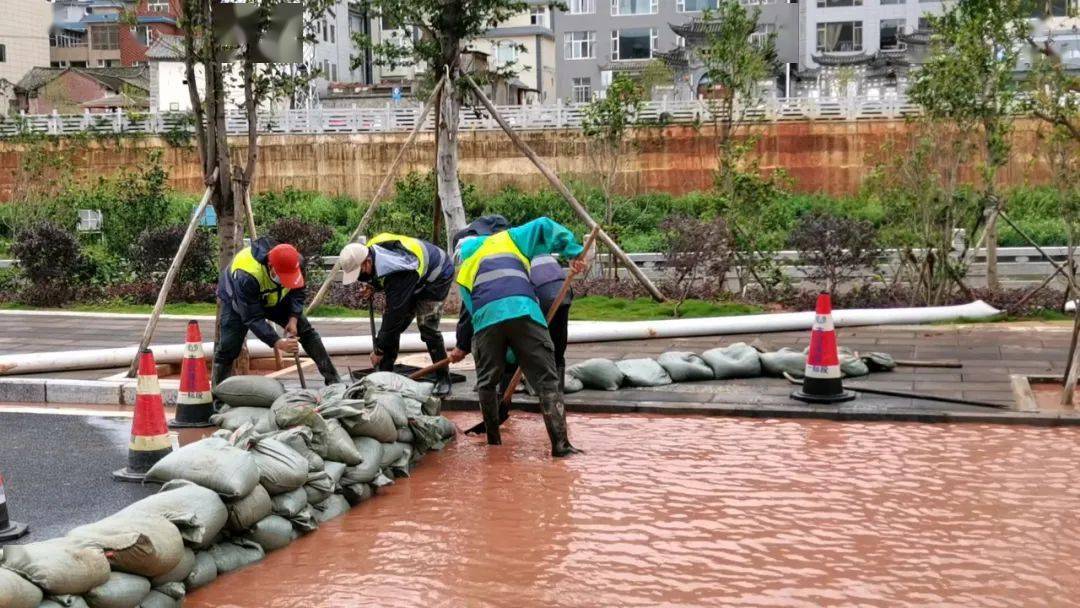 布设挡水沙袋