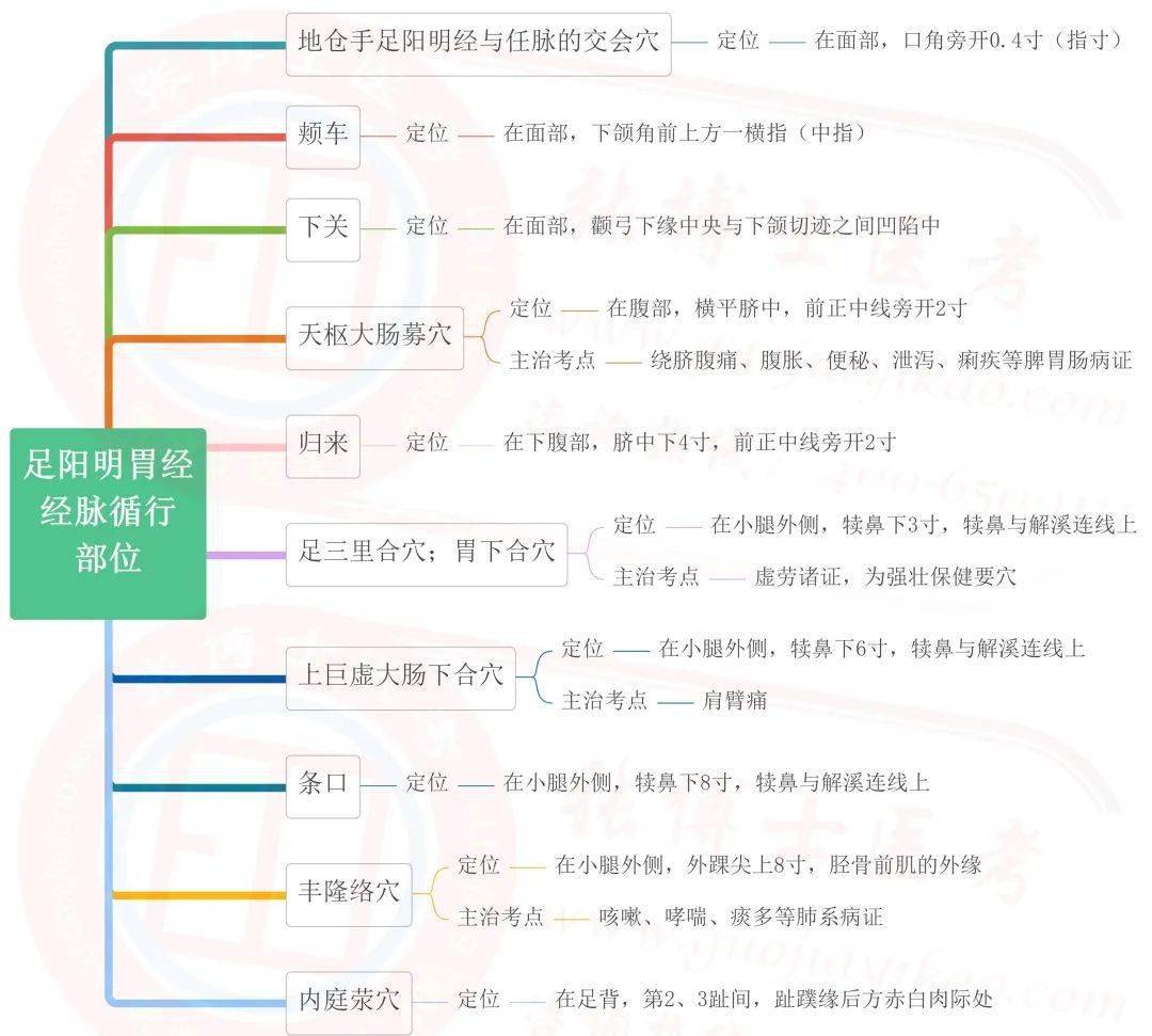 中西医针灸学思维导图