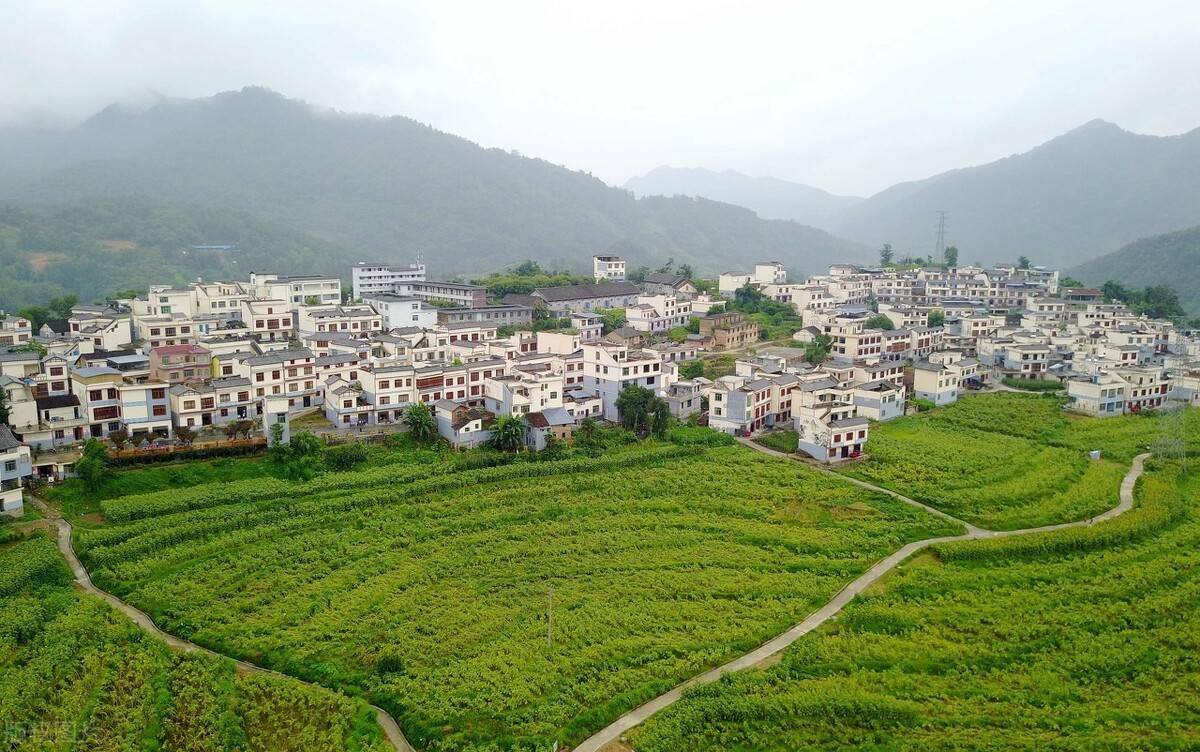 介休市义棠镇凝聚乡贤力量"反哺"农村人居环境治理