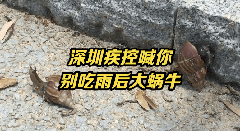 蜗牛怎么杀掉呢 45cef64d82a74eca9bf16dc568325b0b.png