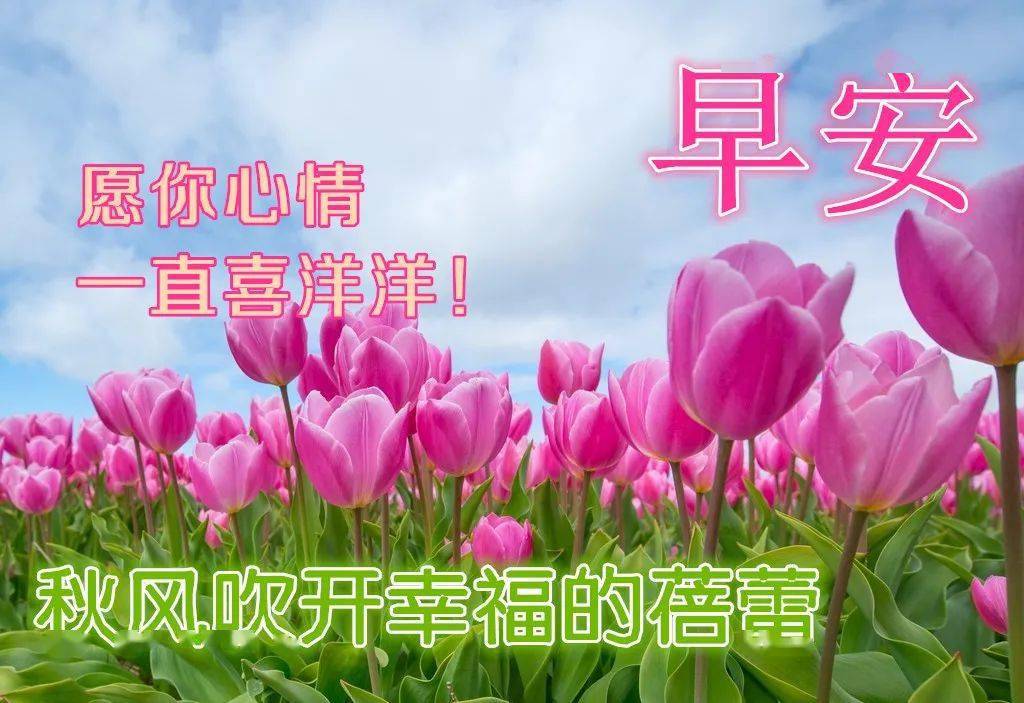 8月19日最漂亮早上好动态表情图片大全 早晨好动图美图大全 祝福