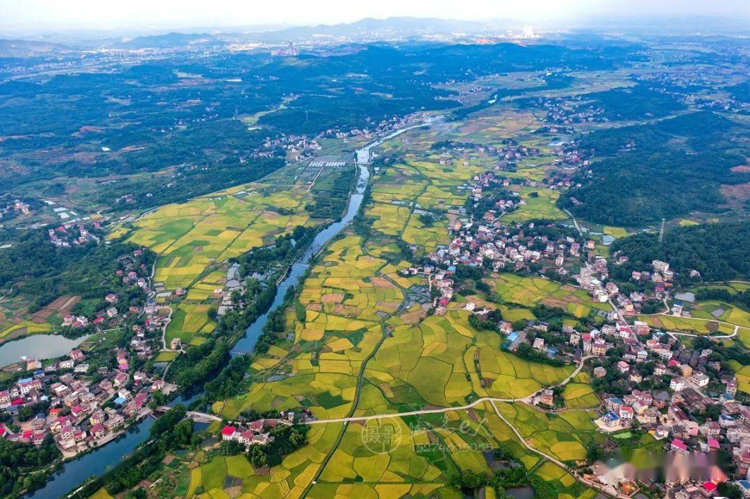 东安县鹿马桥镇金江村田园秋色