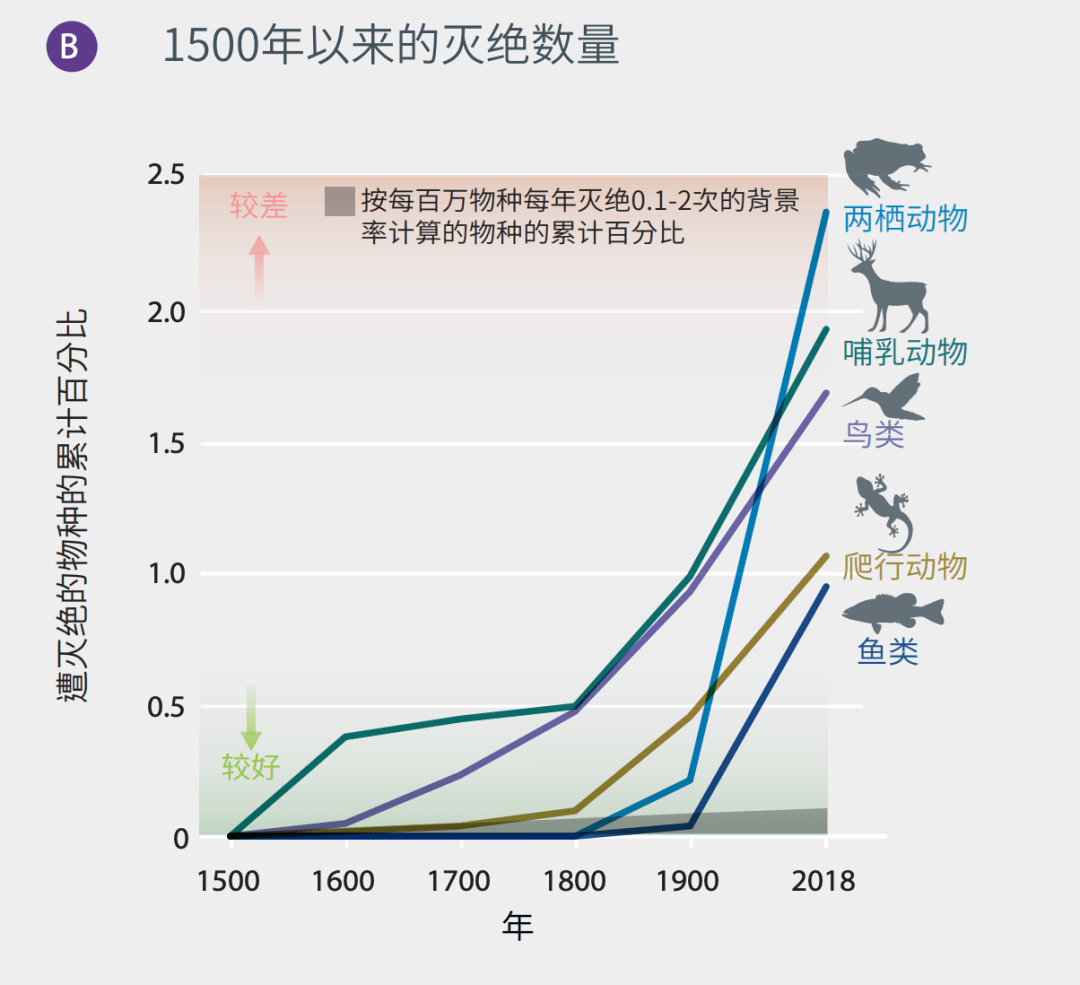 生物多样性锐减图片图片