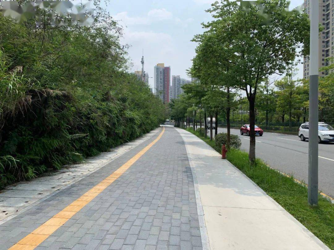 end素材:市交通运输局龙岗管理局深圳市美加达