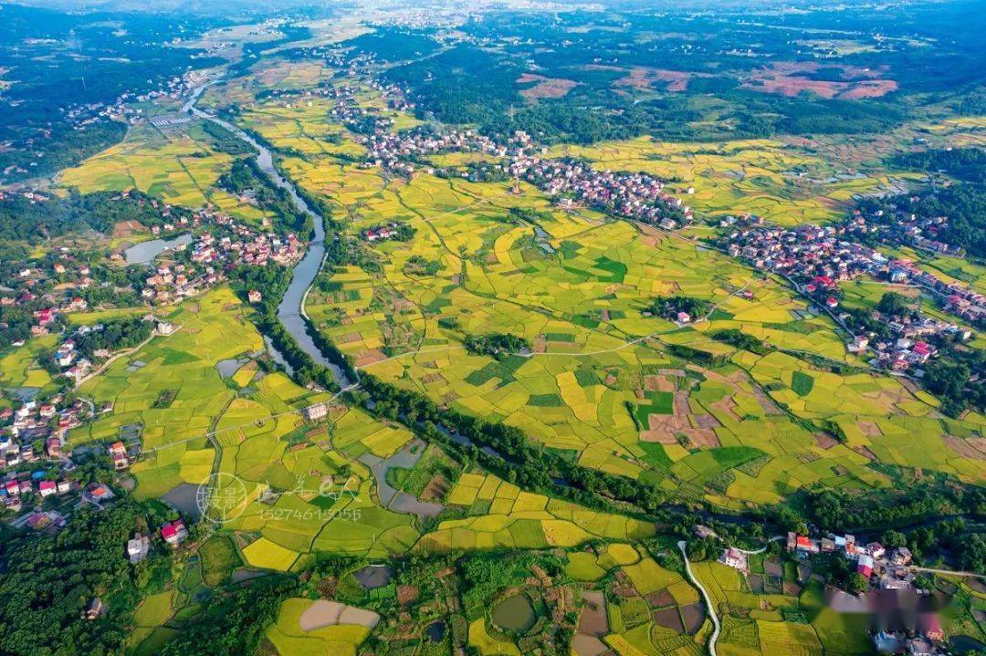 东安县鹿马桥镇金江村田园秋色