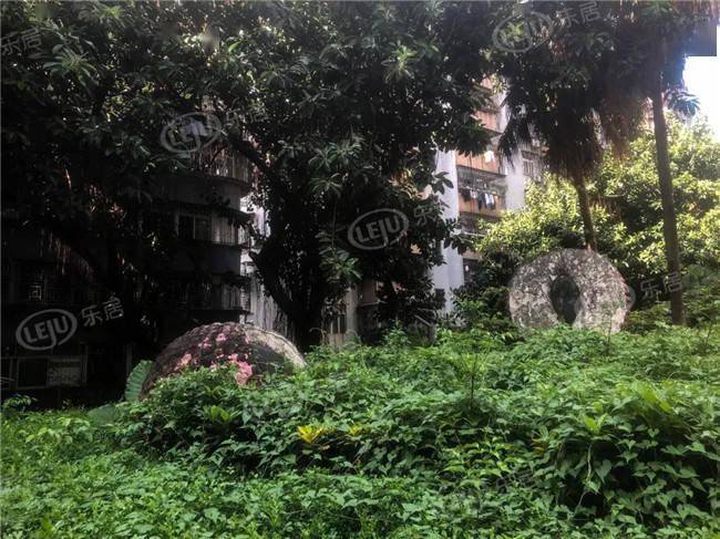 白石洲旧改动工荔园新村传新进展南山六剑客齐活了