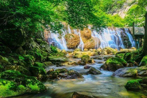 鬼斧神工的独特山水奇观逐渐展现沿参天大树遮荫下的小径而入这个季节