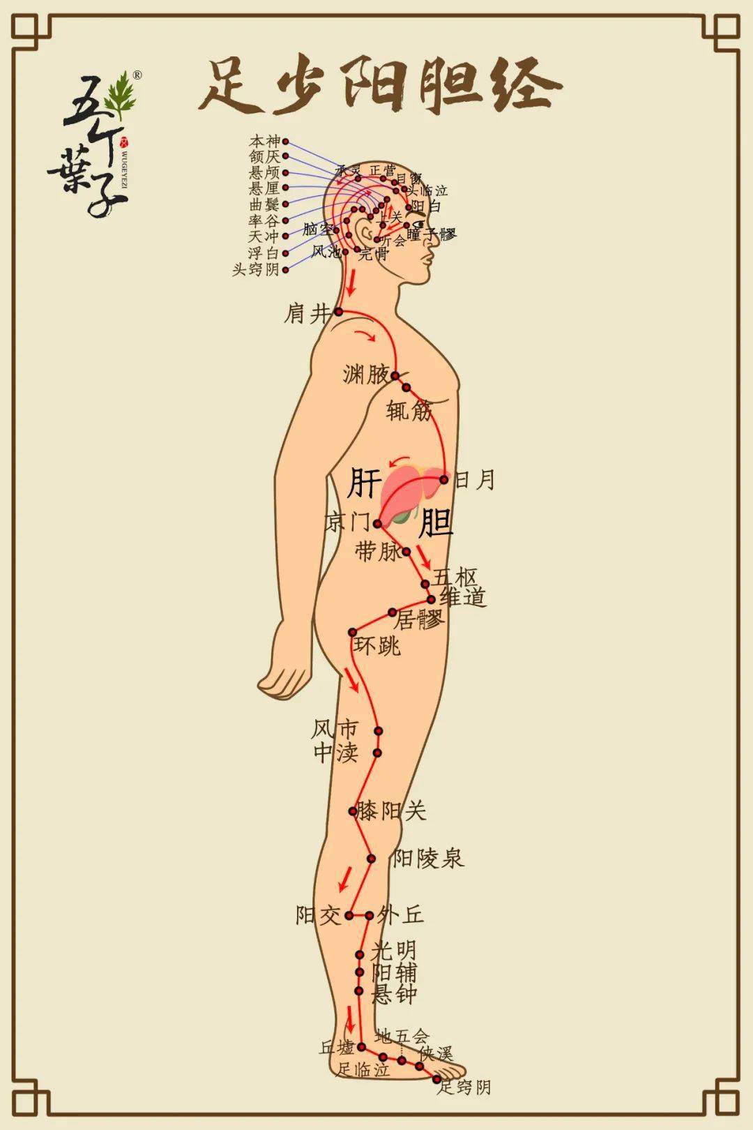 拨腿什么成语_成语故事简笔画(5)