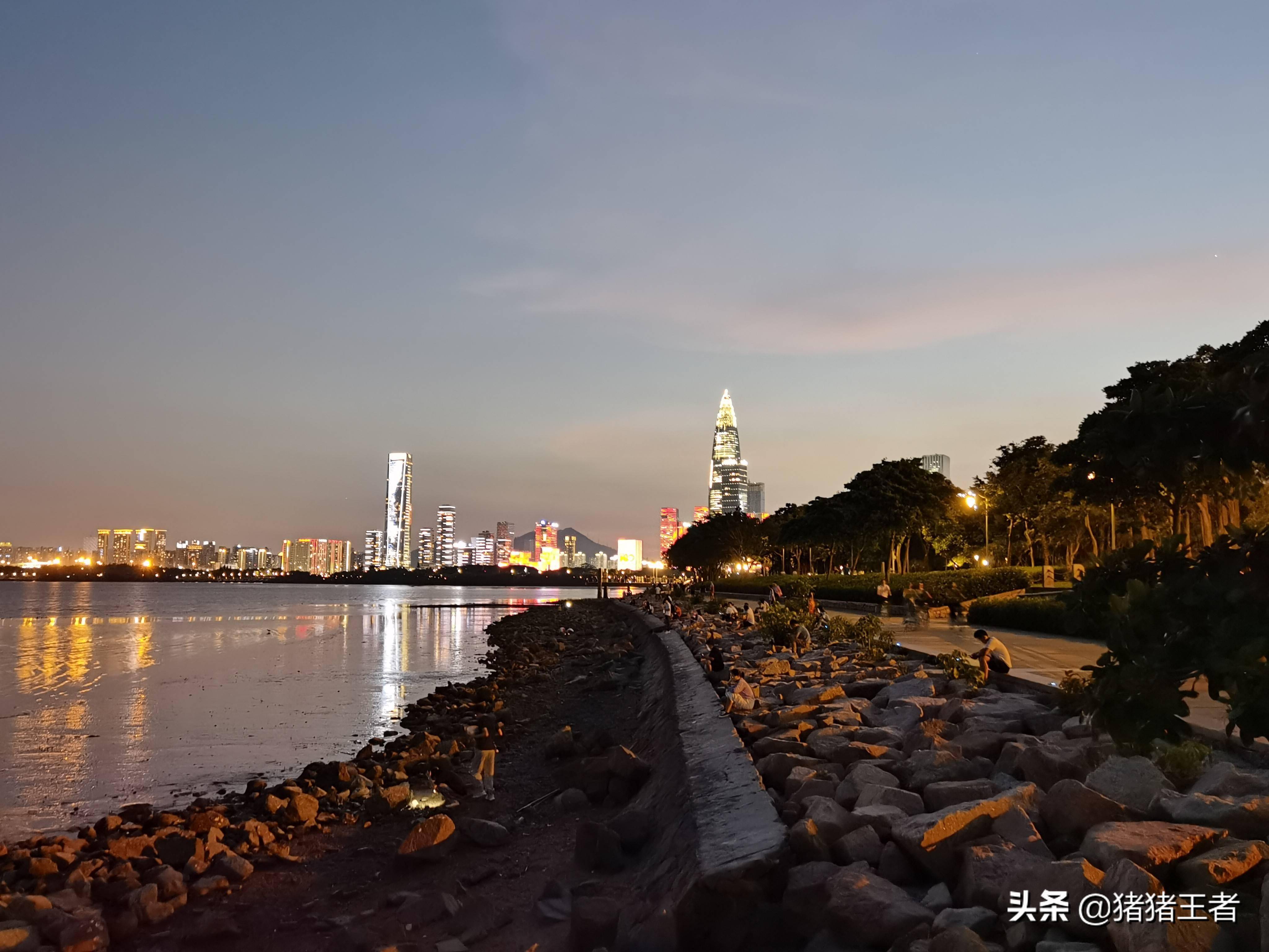 第一次来深圳,到深圳湾打卡,夜景真美,请问路上数字代表的含义