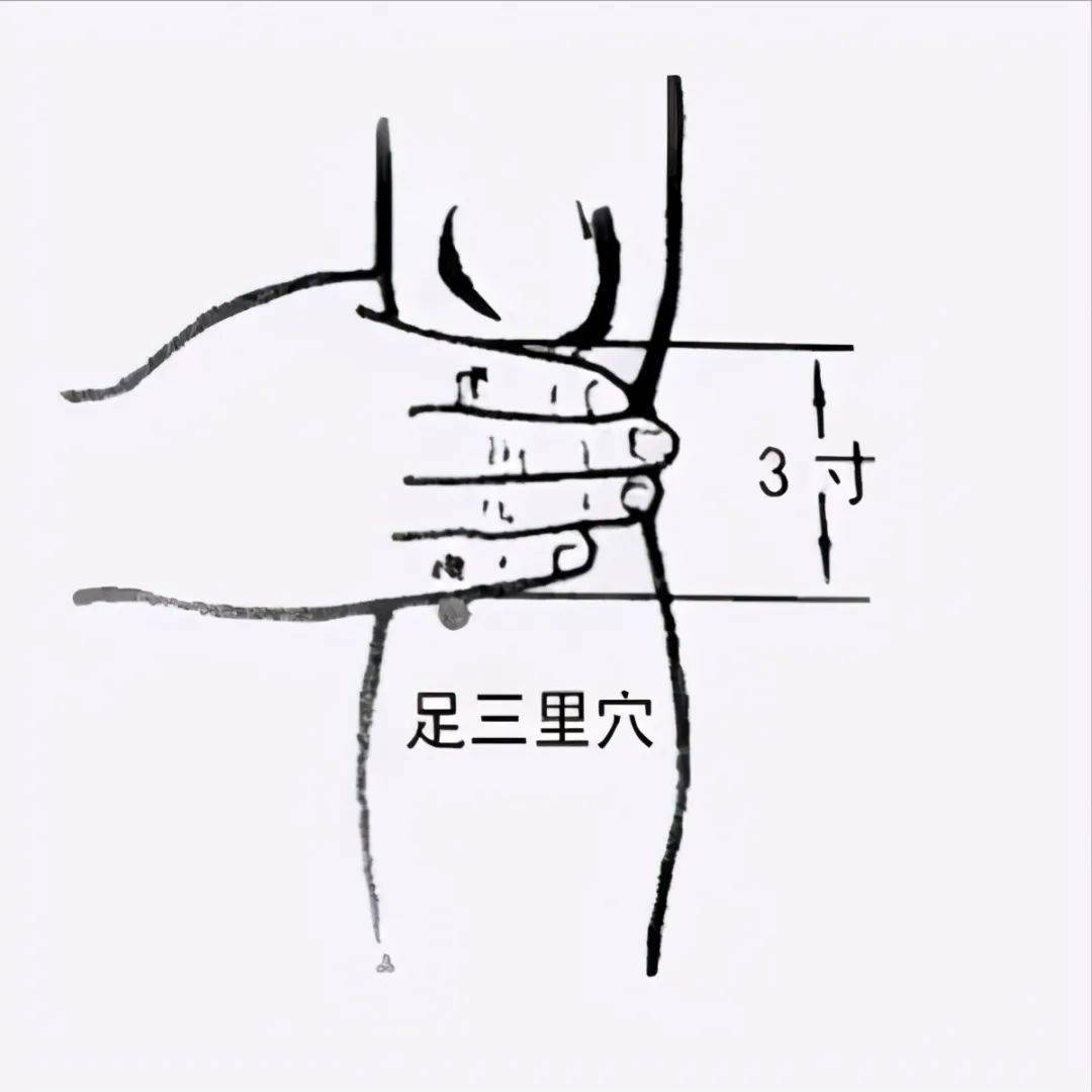 d4a88c9e50724d62a3d6a3c03ed3b7df.jpeg