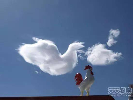 10种世间仅有诡异奇观 绝对让你大开眼界