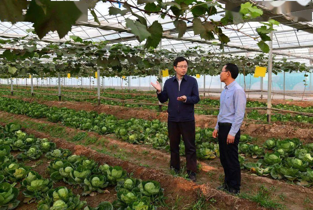 农行红色榜样李海波用金融创新助力打赢脱贫攻坚战