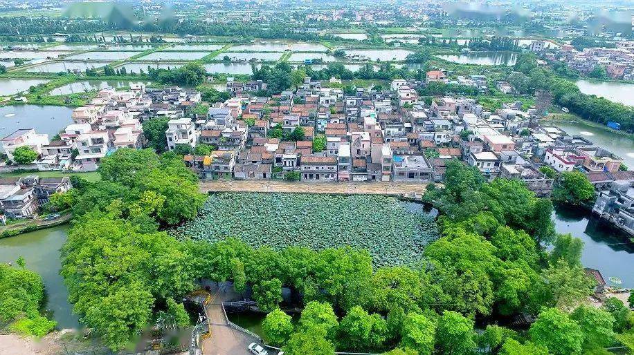 今晚21:40,顺德冲鸭!_杏坛镇