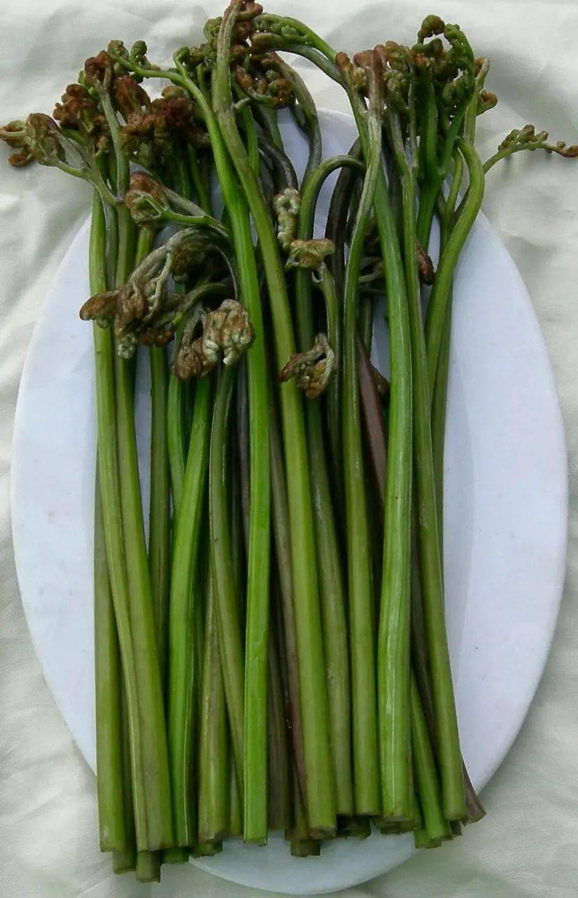 (吃货慎入) 卤蕨 ≠ 卤蕨菜 ?