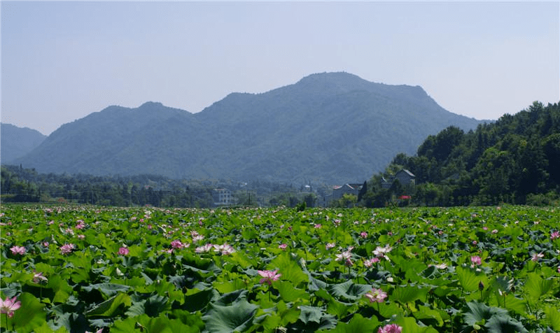 浙江衡山镇图片