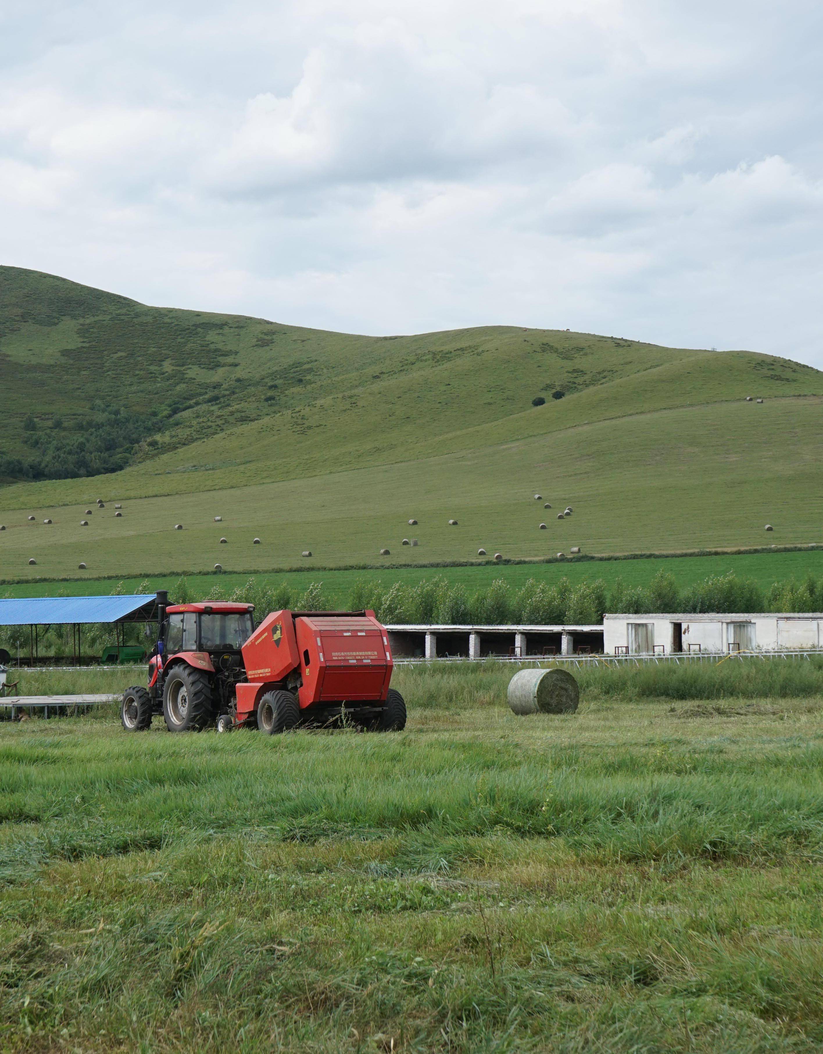 内蒙古兴安盟:草原打草忙