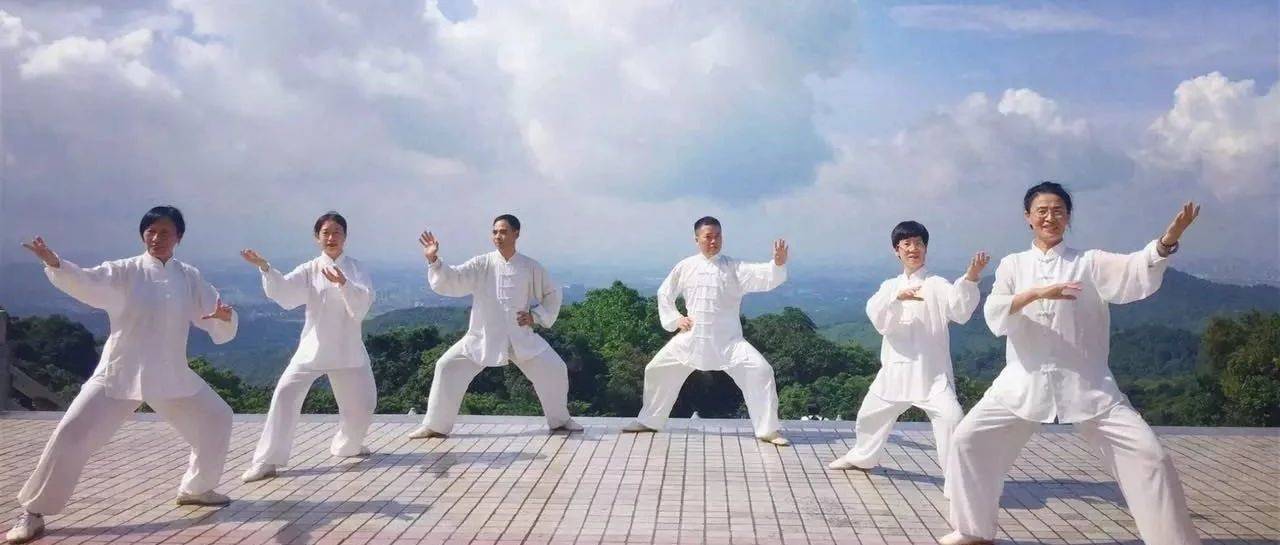 太极拳养生 | 养气为根_气血