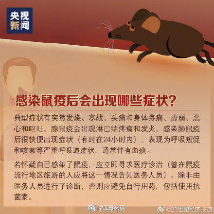 疫情|什么是鼠疫、如何预防鼠疫？