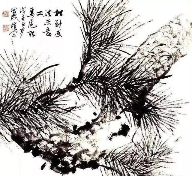 国画松树叶子的画法图片