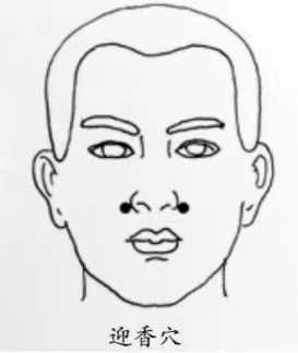 87d8f3923bd04618a18307e20629720c.png