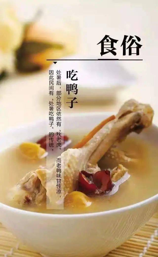 民间有处暑吃鸭子的习俗,处暑百合鸭其因是老鸭味甘性凉.