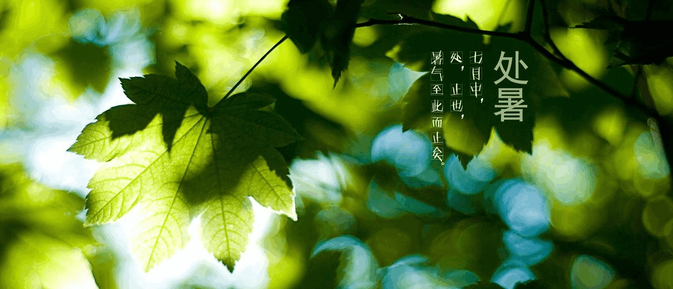 【岁时节日 | 处暑】秋风入夜生新凉_猛将