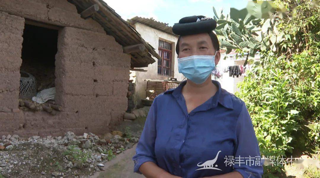 【我为群众办实事】禄丰:"双语"普法宣讲活动进农村_一平浪镇