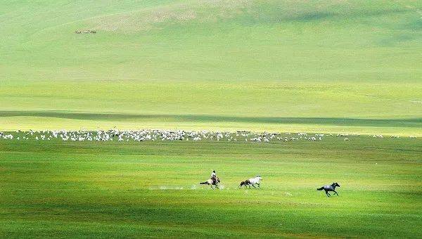 疫情|追击“黑色杀手”