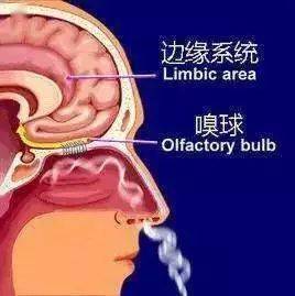 5480bffc352e492c98464571504c2ab6.jpeg