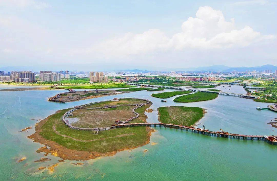 同安人休闲好去处!全省最大人工红树林生态湿地公园要来了,快看现场