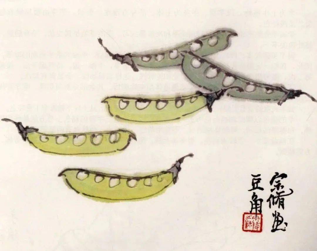 国画教程扁豆画法