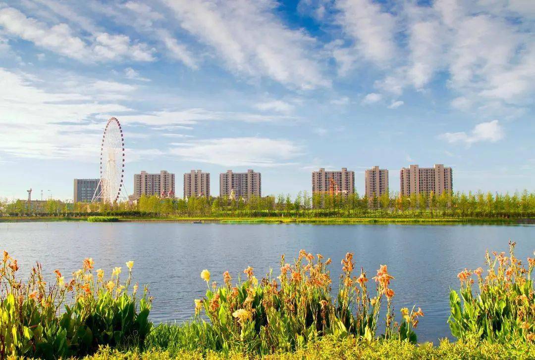 贯彻落实全会精神油车港镇打造均衡富庶发展共同富裕典范中的标杆镇