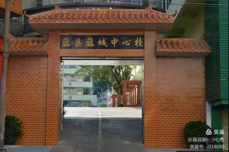 藤城中心校朝阳小学潭津中心校四小五小六小八小2021年一年级新生招生