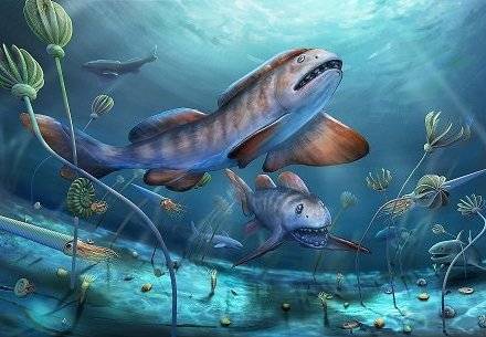 阳泉|中国首次发现2.9亿年前史前巨鲨：瓣齿鲨，为顶级掠食者