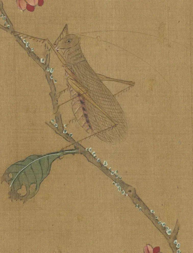 钱选写生图之花草螽斯