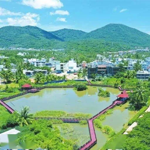 悠然见"南山"!三亚这个村美了美了